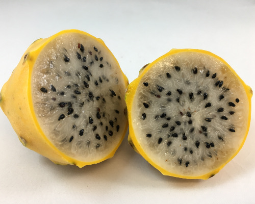 Dragon Fruit (Yellow)